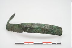 Foto von Bronzeschaukelfußreif (NHMW-PRAE-026631)